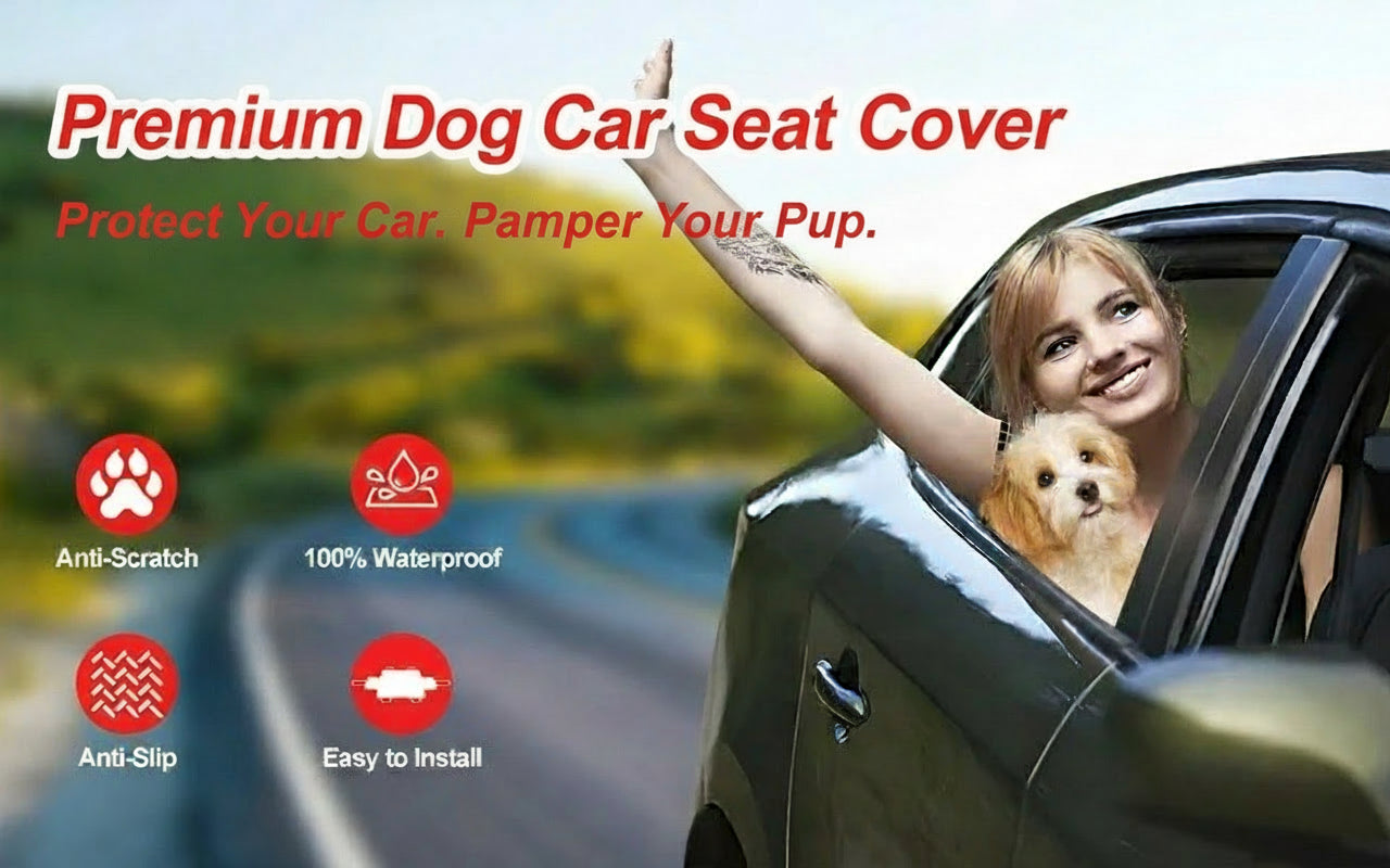 Woman with a dog in a car, promoting dog car seat covers with features listed.
